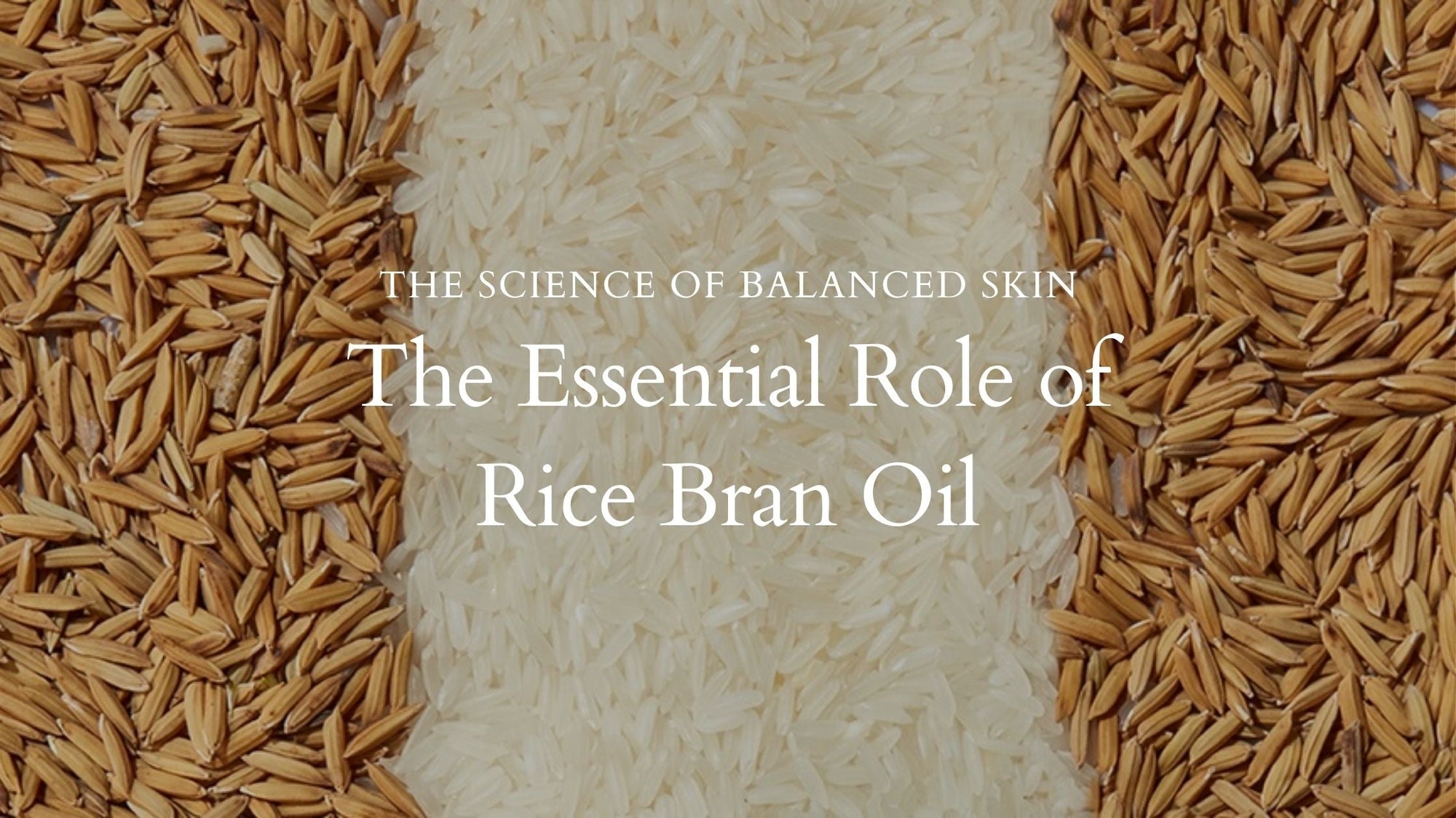 The Science of Balanced Skin: The Essential Role of Rice Bran Oil